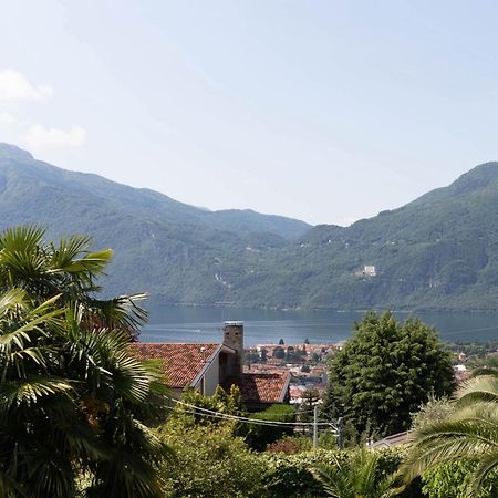 Mamma Ciccia Holiday Home - Mountains & Lake Mandello del Lario Exterior photo