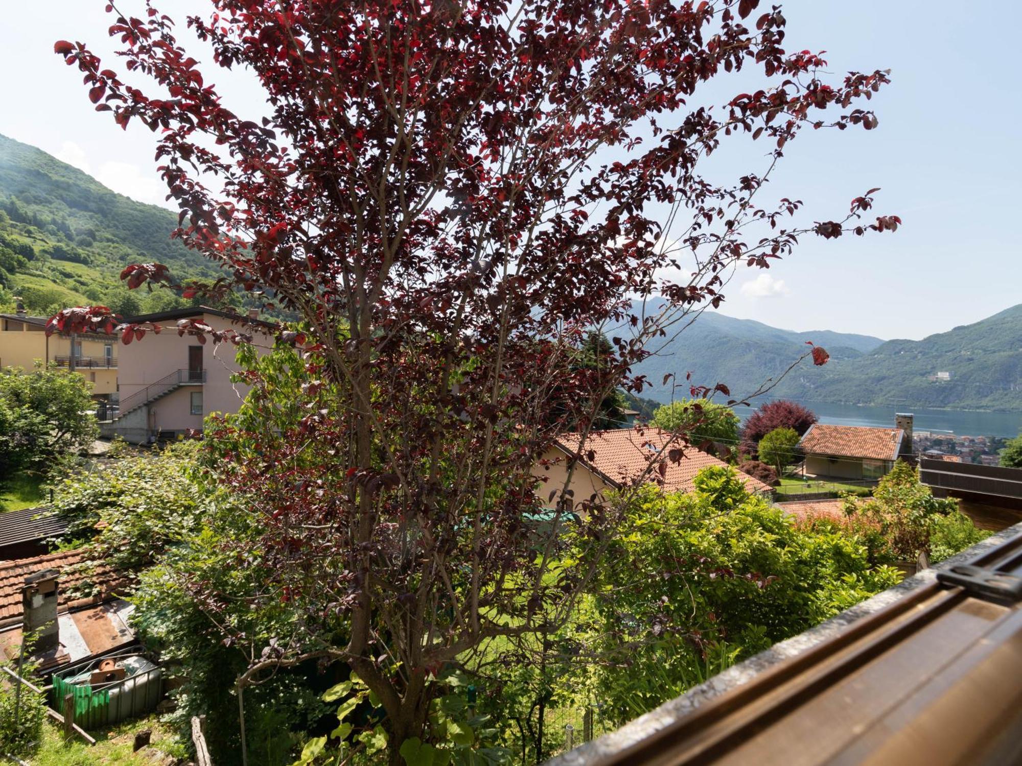 Mamma Ciccia Holiday Home - Mountains & Lake Mandello del Lario Exterior photo